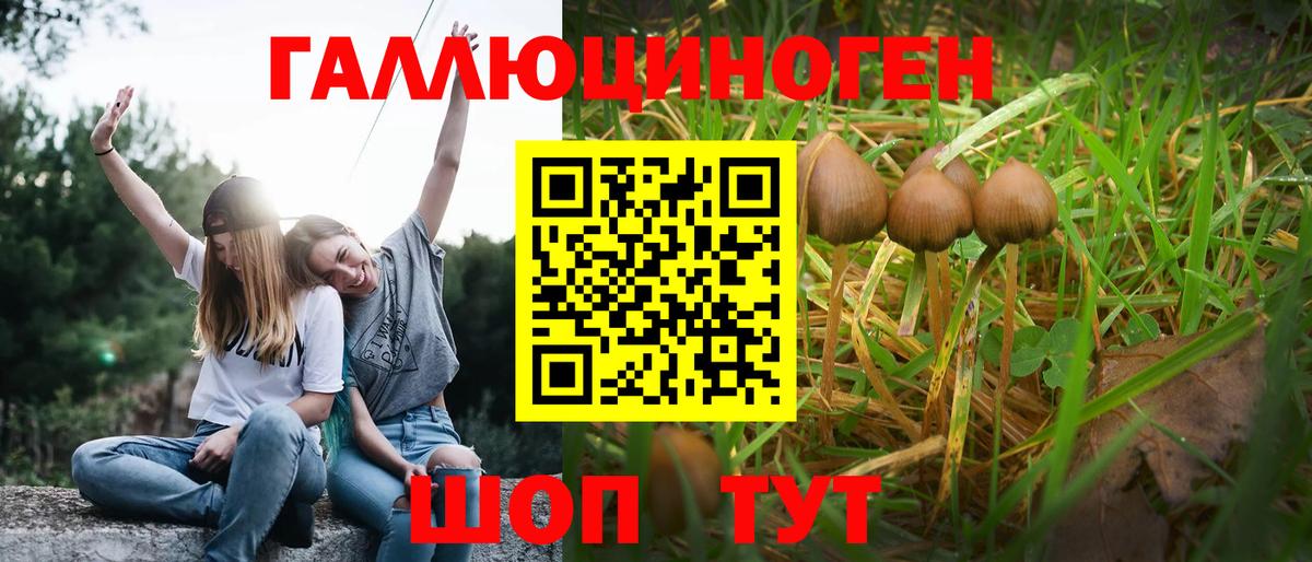Галлюциногенные грибы Magic Shrooms Новошахтинск