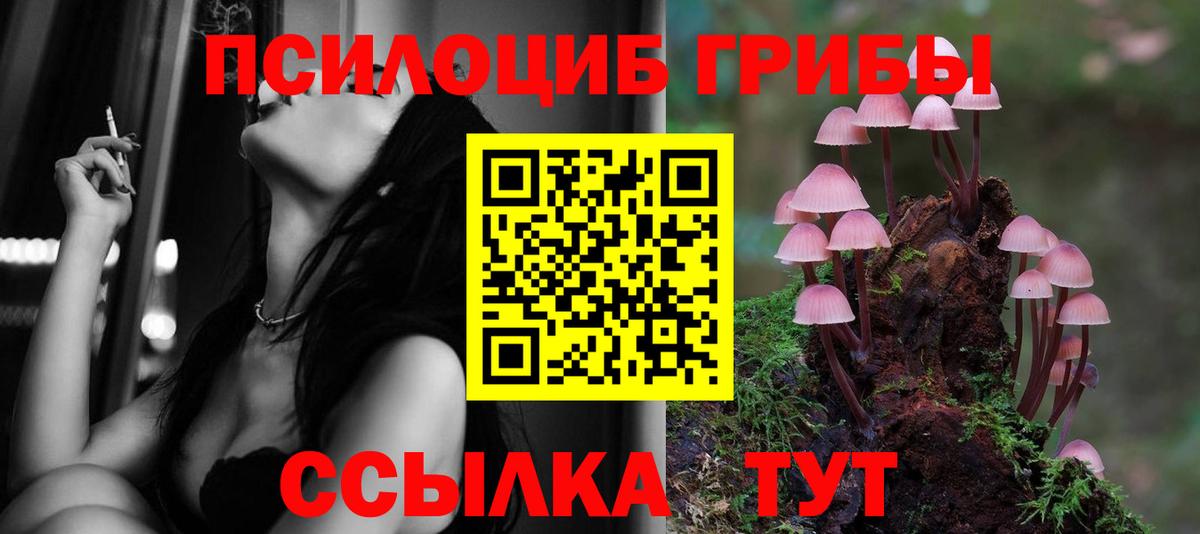 Псилоцибиновые грибы мухоморы  Вход с VPN  Новошахтинск 
